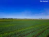 1095 Bunyip River Rd, Vervale, Vic 3814-Image