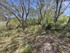 11 Birramal Drive, Dunbogan, NSW 2443-Image