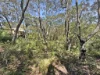 11 Birramal Drive, Dunbogan, NSW 2443-Image