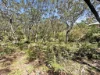 11 Birramal Drive, Dunbogan, NSW 2443-Image