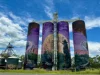 11 Charles Darwin Drive, Monto, Qld 4630-Image