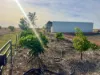 11 Clarke Street, Gregory, Qld 4830-Image