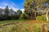 11 Cox Creek Road, Crafers, SA 5152-Image