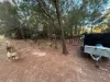 11 Dickenson Drive, Russell Island, Qld 4184-Image