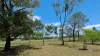 11 Ena St, Dalby, Qld 4405-Image
