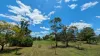 11 Ena St, Dalby, Qld 4405-Image