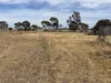 11 Flett St, Minyip, Vic 3392-Image