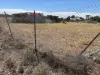 11 Flett St, Minyip, Vic 3392-Image