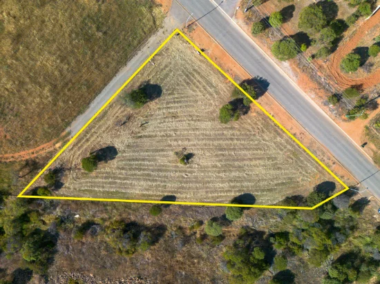 11 Forrest Street, Northampton, WA 6535