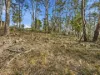 11 Hargrave Place, Mount Nelson, Tas 7007-Image