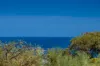 11 Hickory Road, Quinns Rocks, WA 6030-Image