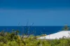 11 Hickory Road, Quinns Rocks, WA 6030-Image