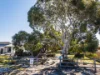 11 Moriarty Road, Stieglitz, Tas 7216-Image