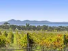 11 Oakden Road, Drysdale, Vic 3222-Image