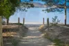 11 Pimelea Road, Snug, Tas 7054-Image