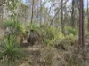 11 Pinnell Road, Crows Nest, Qld 4355-Image