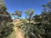 11 Simmons Crescent, Port Augusta West, SA 5700-Image