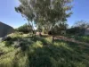 11 Simmons Crescent, Port Augusta West, SA 5700-Image