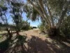 11 Simmons Crescent, Port Augusta West, SA 5700-Image