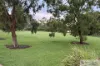 11 Terama Chase, Werribee, Vic 3030-Image