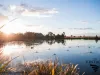 110 Casuarina Drive, Pokolbin, NSW 2320-Image