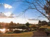 110 Casuarina Drive, Pokolbin, NSW 2320-Image