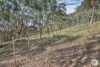 110 Sharrocks Road, Mount Egerton, Vic 3352-Image