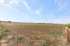111 Chapman Road, Moonta, SA 5558-Image