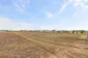 111 Chapman Road, Moonta, SA 5558-Image