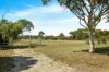 111 Clyde Road, Bannockburn, Vic 3331-Image