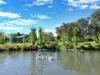 111 Forbes Lane, Young, NSW 2594