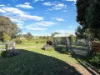 111 Forbes Lane, Young, NSW 2594-Image
