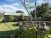 111 Forbes Lane, Young, NSW 2594-Image