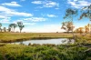111 Forbes Lane, Young, NSW 2594-Image