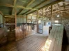 111 Forbes Lane, Young, NSW 2594-Image