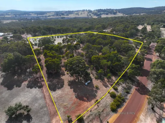 111 Panorama View, Hoddys Well, WA 6566