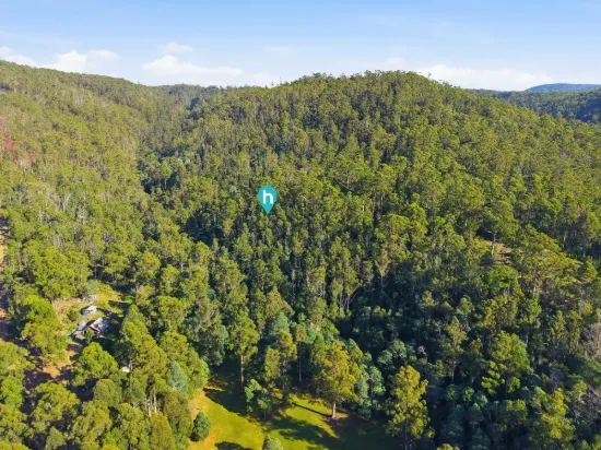 111 Underwoods Road, Nicholls Rivulet, Tas 7112