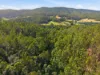 111 Underwoods Road, Nicholls Rivulet, Tas 7112-Image