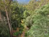 111 Underwoods Road, Nicholls Rivulet, Tas 7112-Image