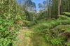 111 Underwoods Road, Nicholls Rivulet, Tas 7112-Image