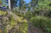 111 Underwoods Road, Nicholls Rivulet, Tas 7112-Image