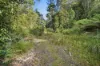111 Underwoods Road, Nicholls Rivulet, Tas 7112-Image
