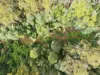 111 Underwoods Road, Nicholls Rivulet, Tas 7112-Image