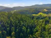 111 Underwoods Road, Nicholls Rivulet, Tas 7112-Image