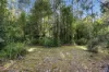 111 Underwoods Road, Nicholls Rivulet, Tas 7112-Image