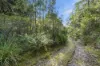 111 Underwoods Road, Nicholls Rivulet, Tas 7112-Image