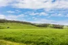 112 Burns Road, Paris Creek, SA 5201-Image