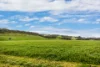 112 Burns Road, Paris Creek, SA 5201-Image