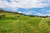 112 Burns Road, Paris Creek, SA 5201-Image