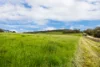 112 Burns Road, Paris Creek, SA 5201-Image
